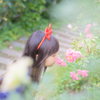 甘いかほり