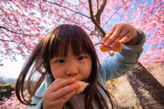 みかん食いなはれや～