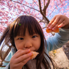 みかん食いなはれや～