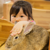 こっそりぺったん