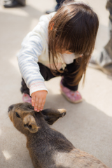 ちょっと失礼します。。