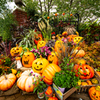 大盛ハロウィン