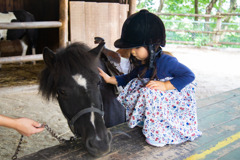 ウマが合ったようです