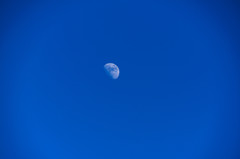 DSC_5818-1-2