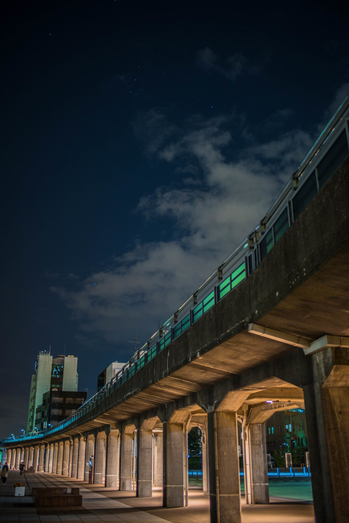 DSC_5496-1