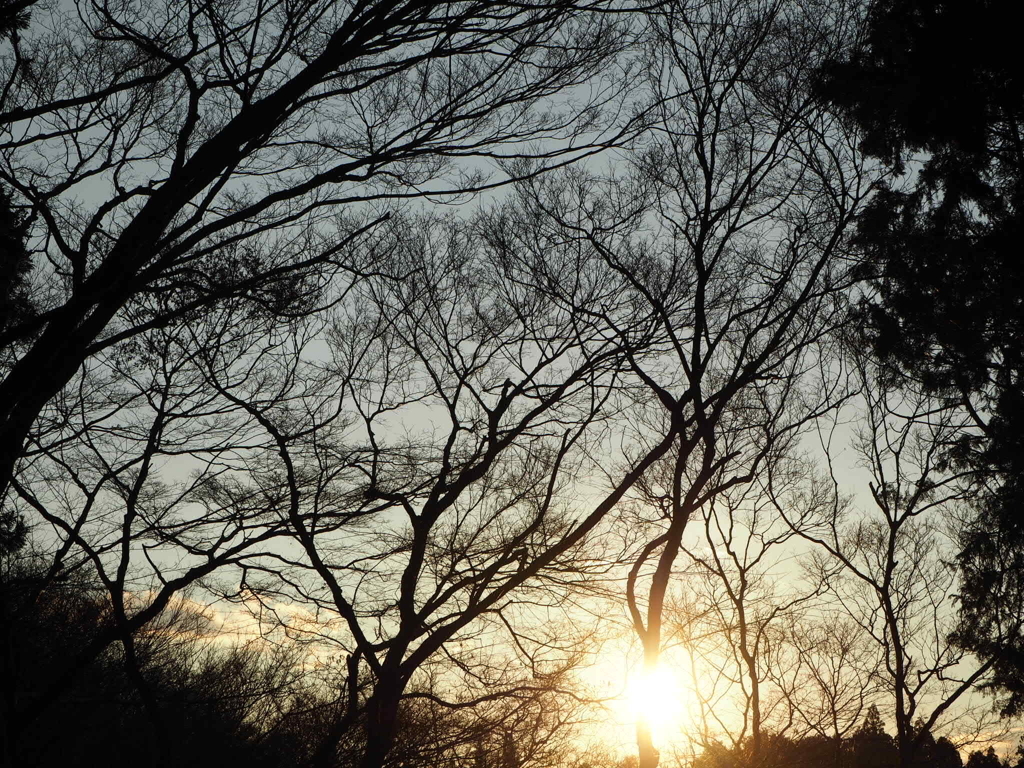 2015年最後の夕日