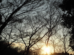 2015年最後の夕日