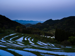 大山千枚田～ブルーアワー～