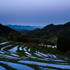 大山千枚田～ブルーアワー～