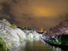 千鳥ヶ淵緑道～東京タワー～