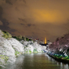 千鳥ヶ淵緑道～東京タワー～