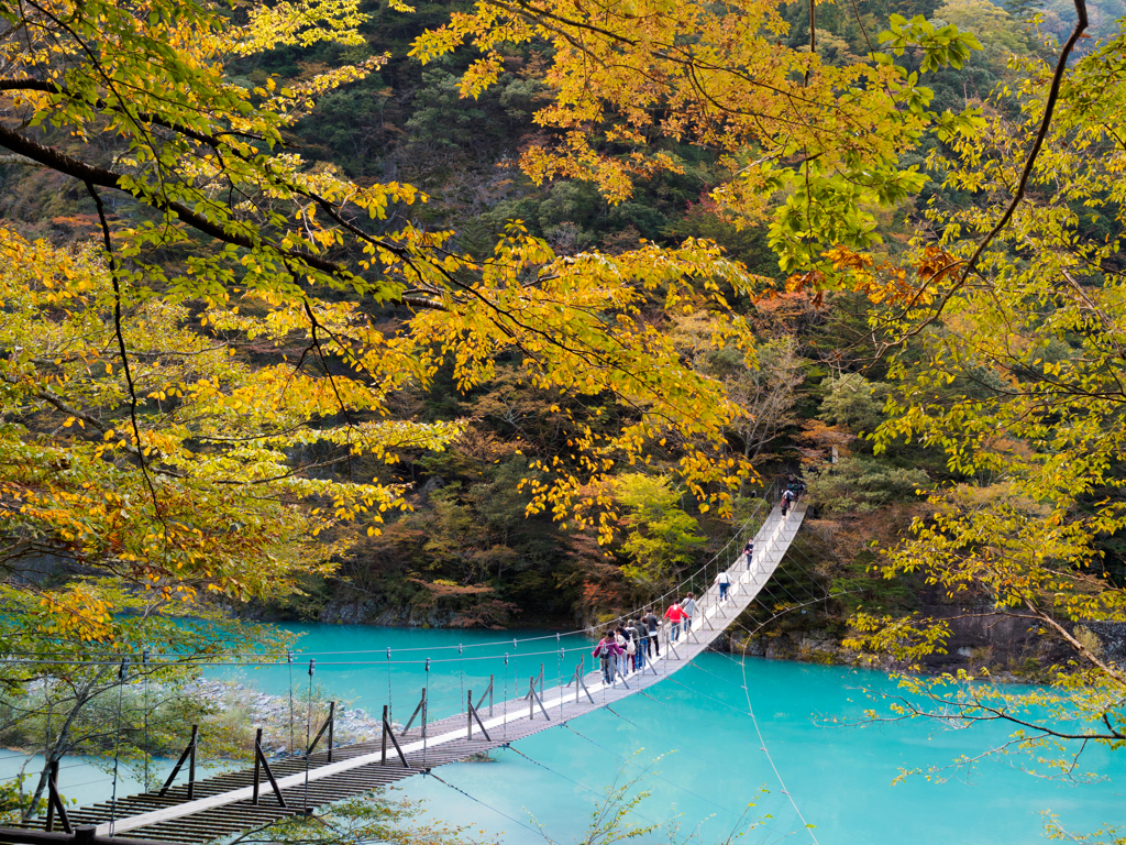 夢の吊り橋