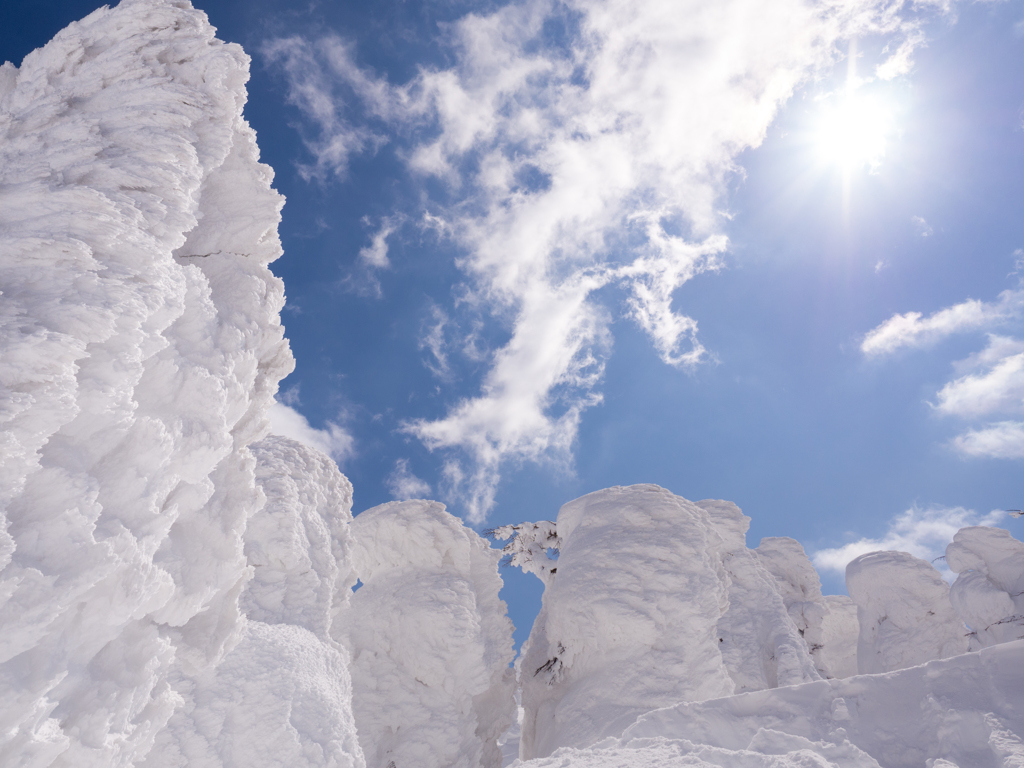 Snow trees③