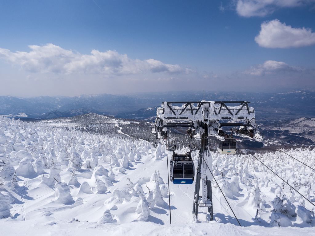 Snow trees②