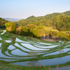 大山千枚田～東京から一番近い～