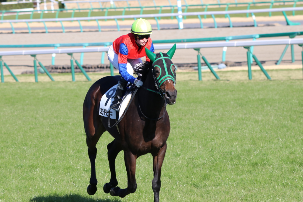 中山競馬場