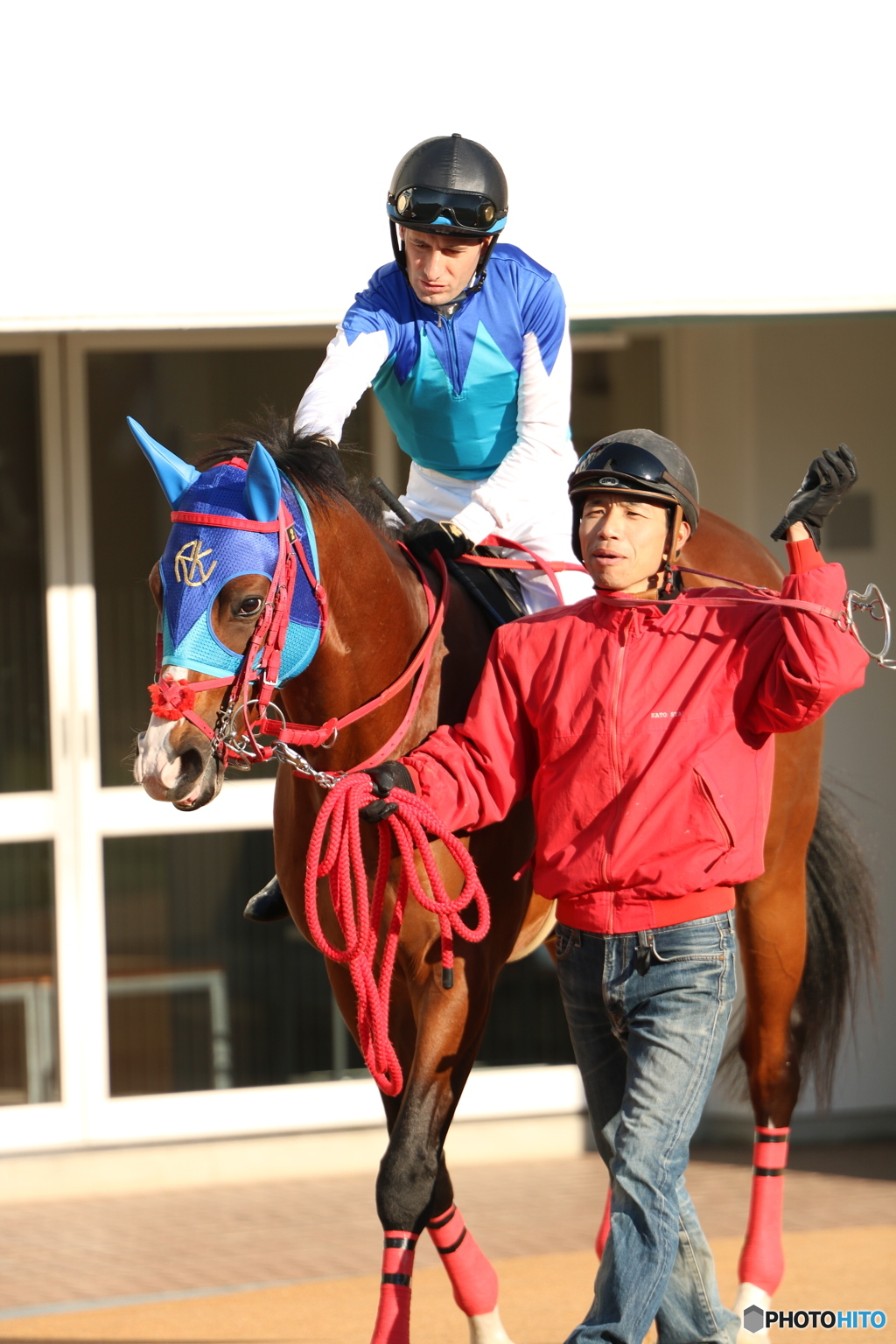 中山競馬場