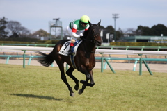 中山競馬場