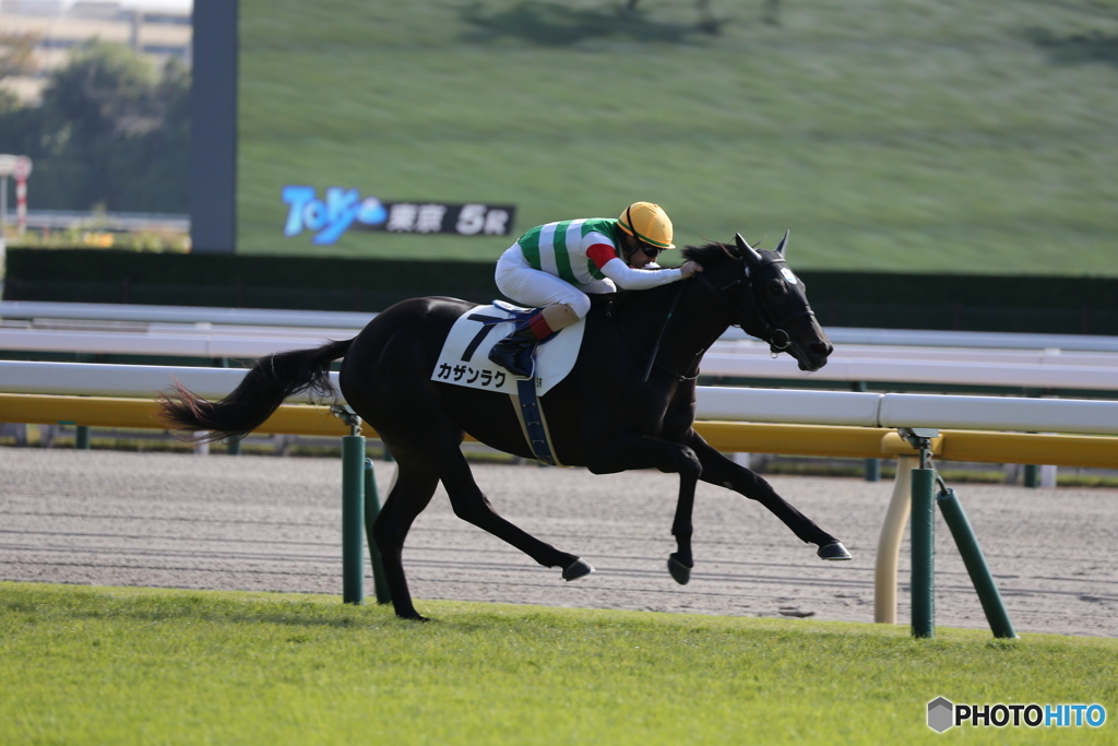 東京競馬場