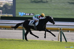 東京競馬場