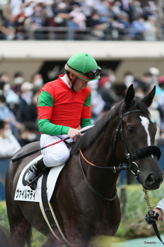 東京競馬場