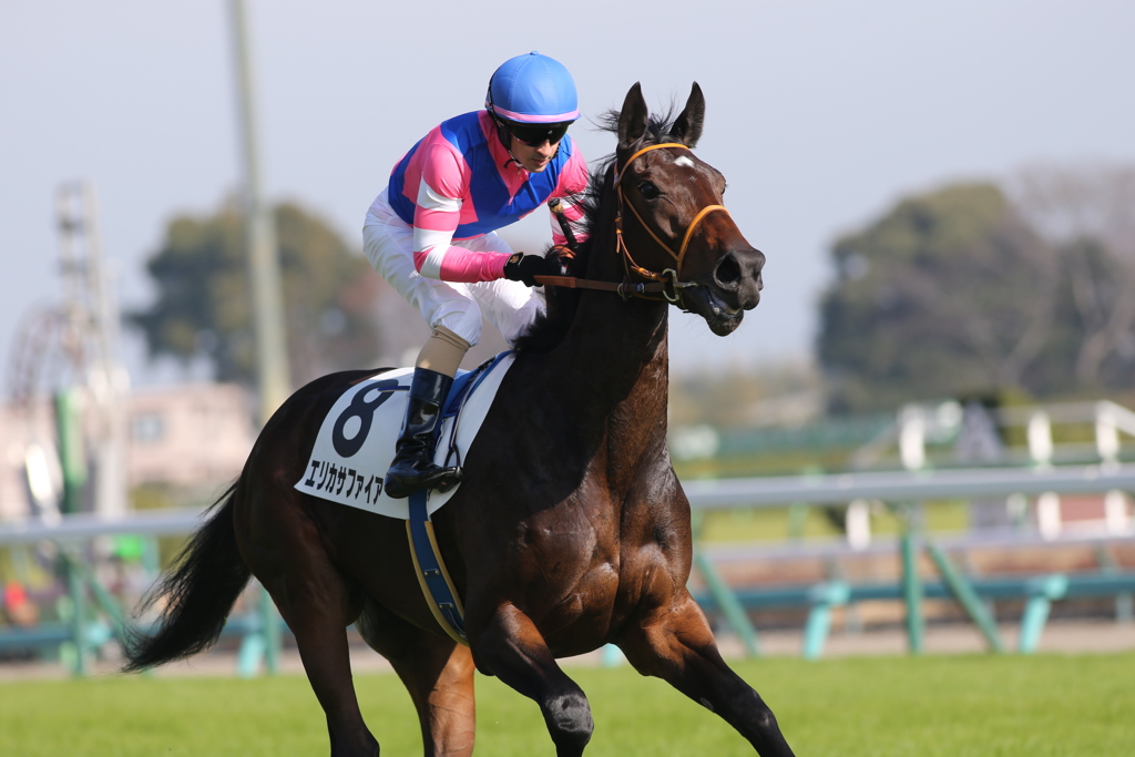 中山競馬場