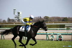 中山競馬場