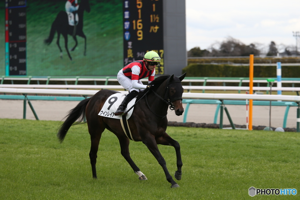 中山競馬場