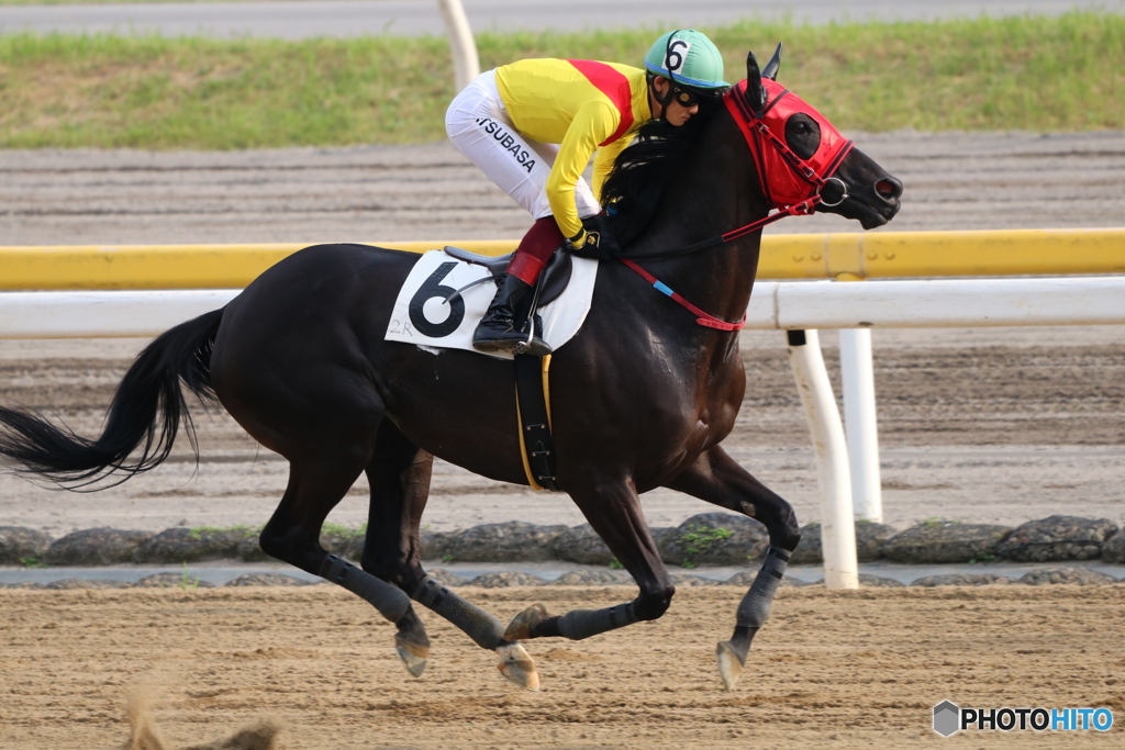 船橋競馬場（地方競馬）