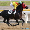 船橋競馬場（地方競馬）