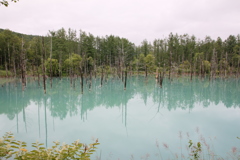 青い池