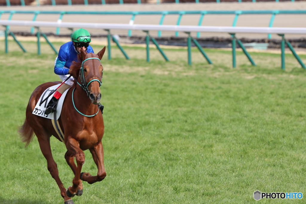 中山競馬場