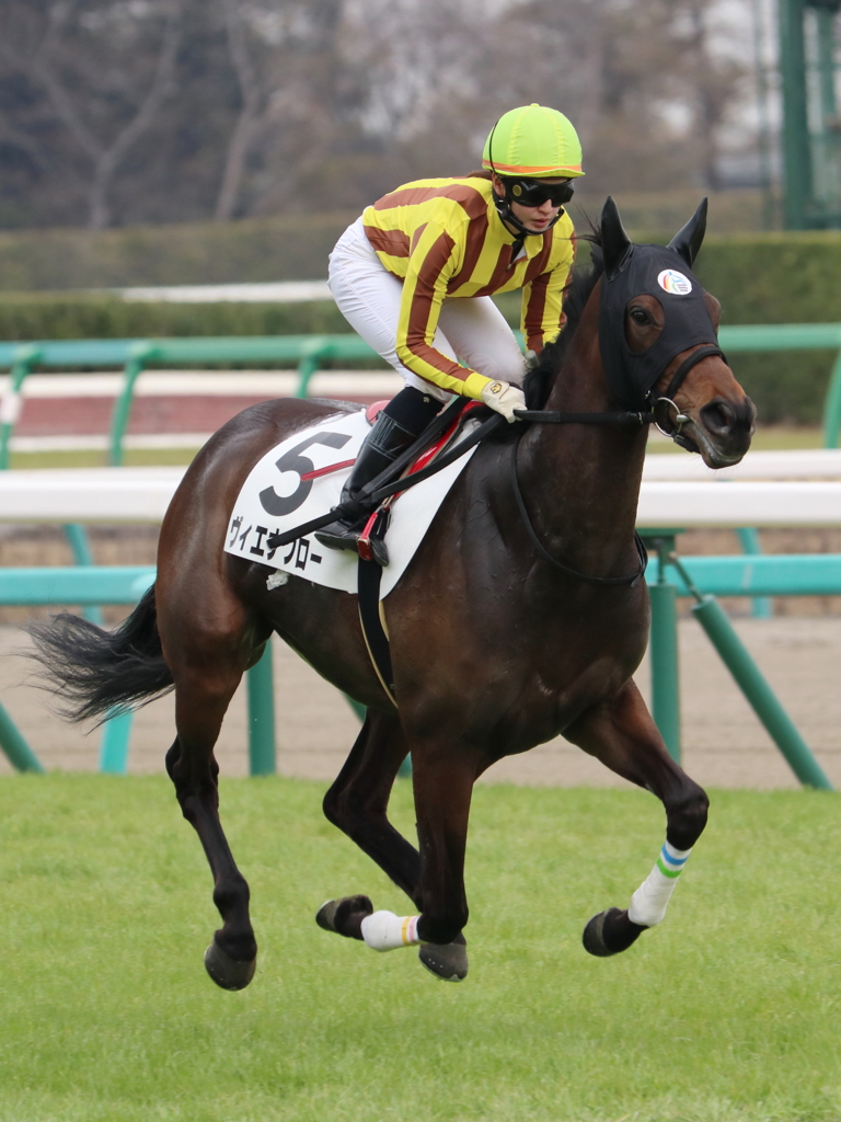 中山競馬場