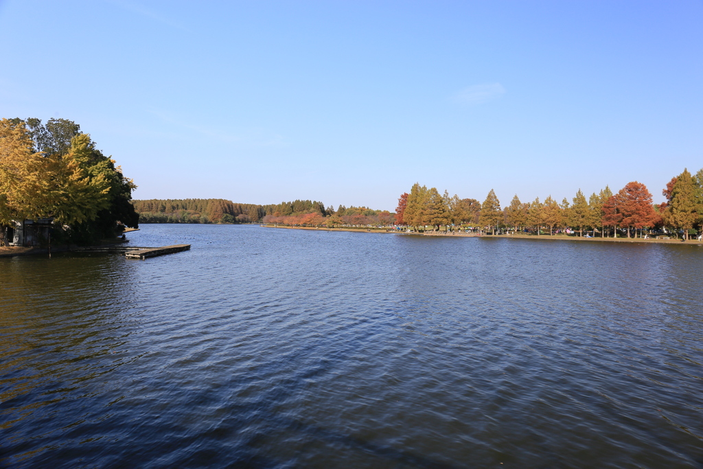 水元公園