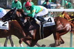 中山競馬場