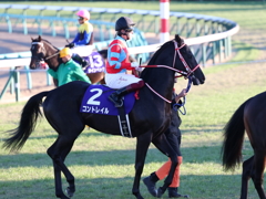 中山競馬場