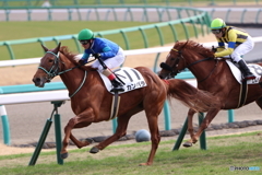 中山競馬場