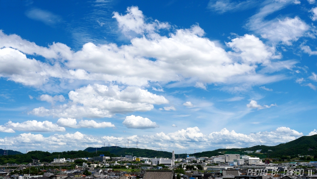 夏本番