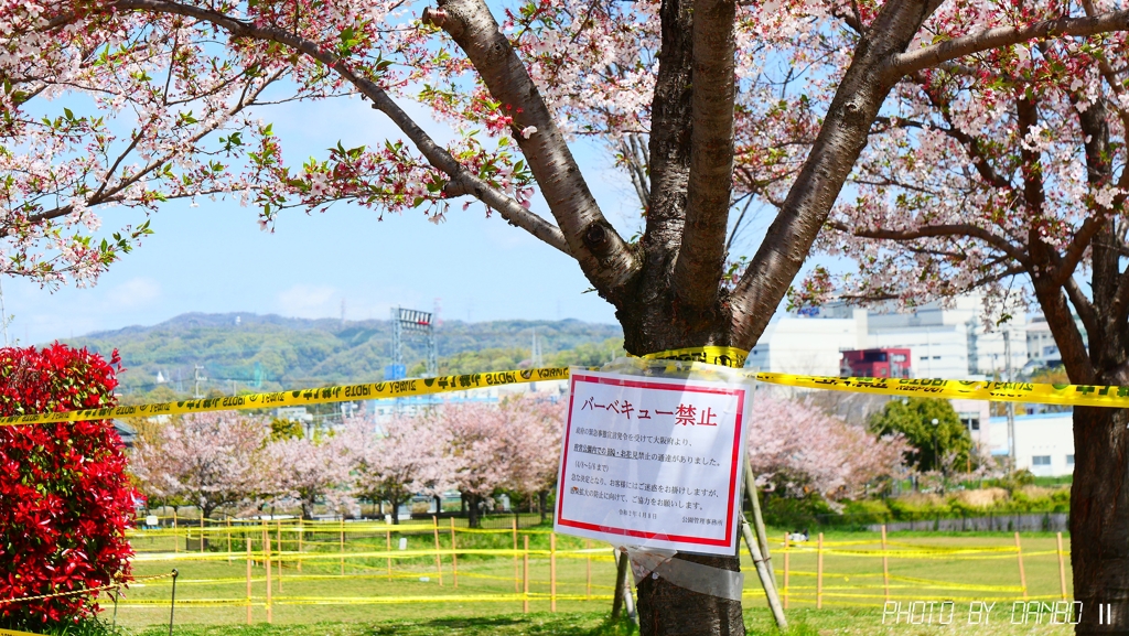 緊急事態宣言後の公園 ＜2＞