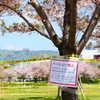 緊急事態宣言後の公園 ＜2＞
