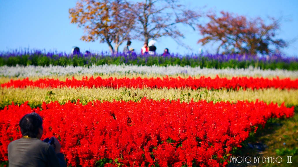 公園にて ＜4＞