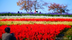 公園にて ＜4＞