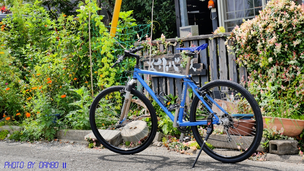 自転車操業はや一年