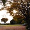 ひとやすみ ＜4＞