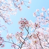 青空が似合います ＜2＞