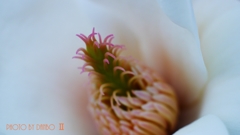 慈悲