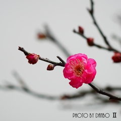 春薫 ＜10＞