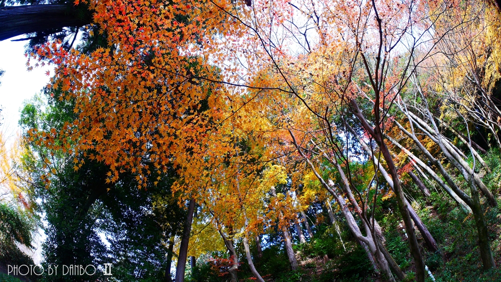 秋なんだなぁ～ ＜15＞