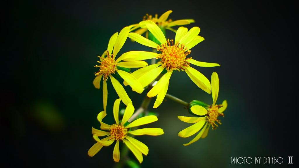 愛よ甦れ ＜1＞