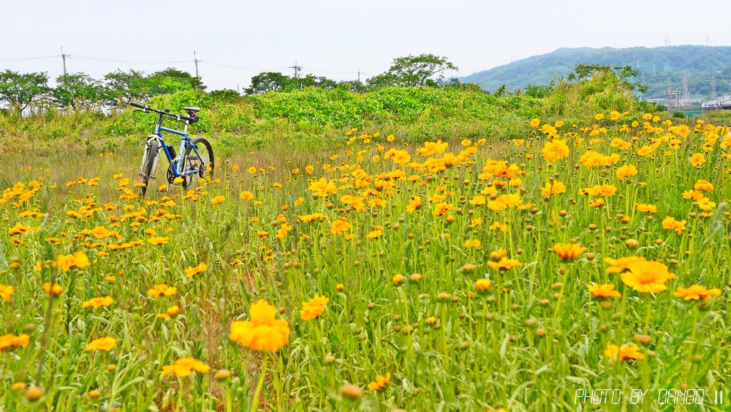 自転車操業始めました ＜10＞